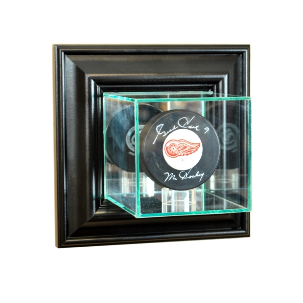 BNWT puck/ball display case